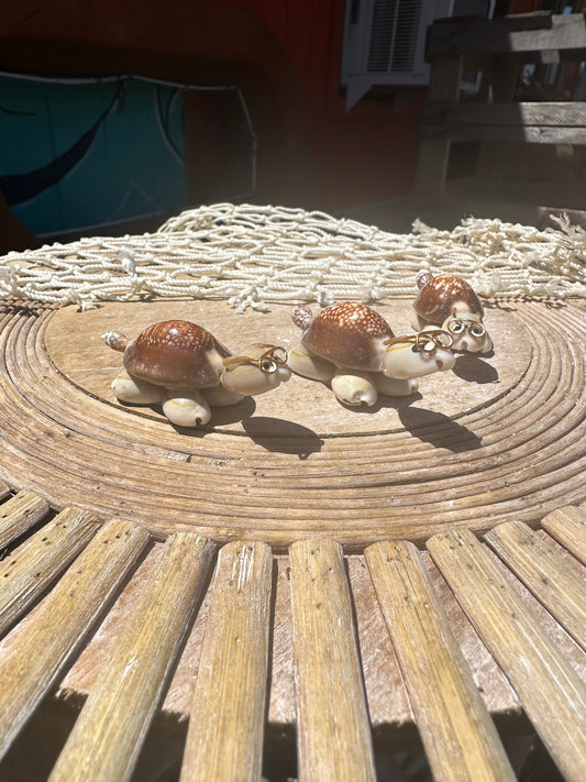 Sea Turtle Seashell Critters