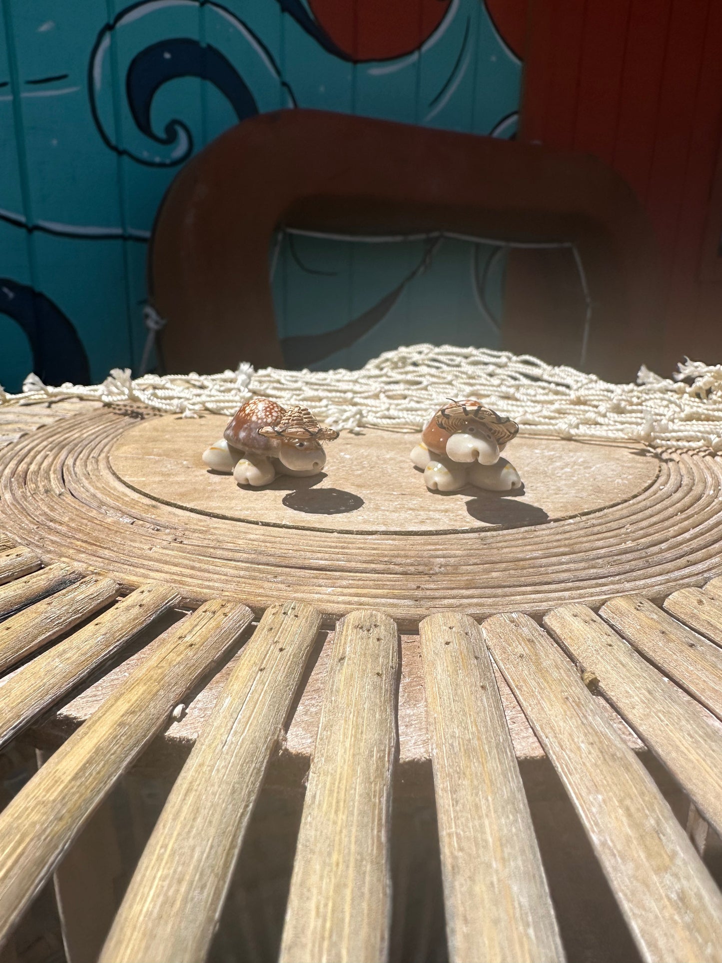 Sea Turtle Seashell Critters