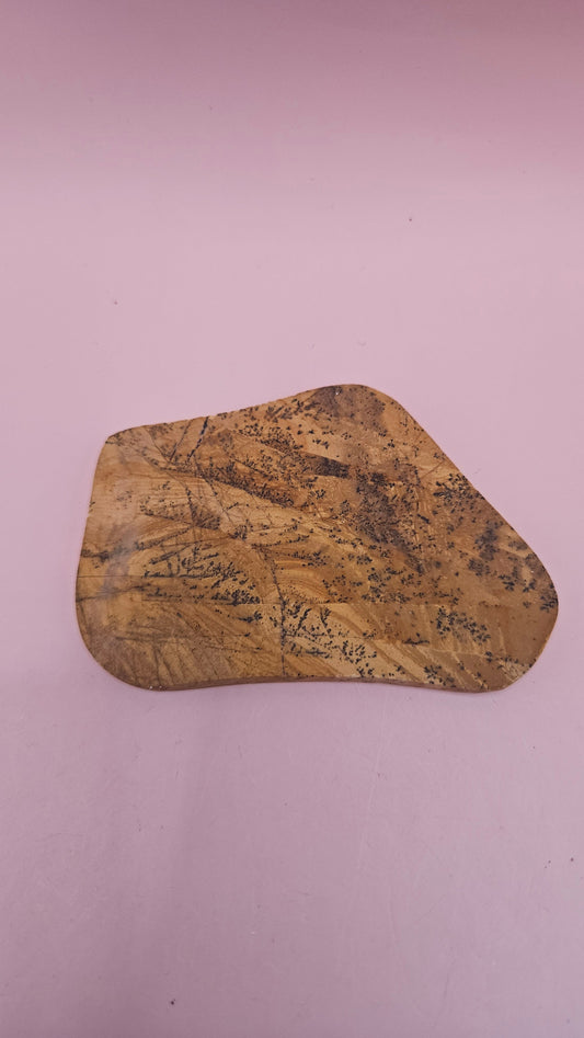 Polished Yellow Feather Jasper slab with black dendritic inclusions on a golden yellow base, 50 grams.