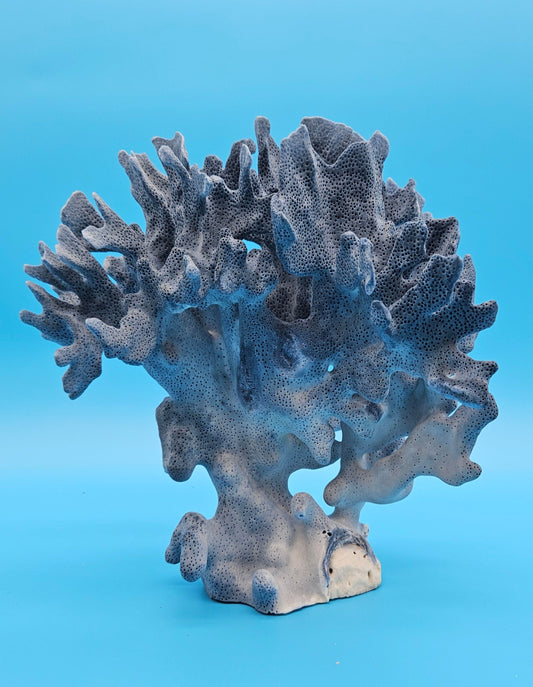 Vintage Blue Ridge Coral branching specimen coastal display
