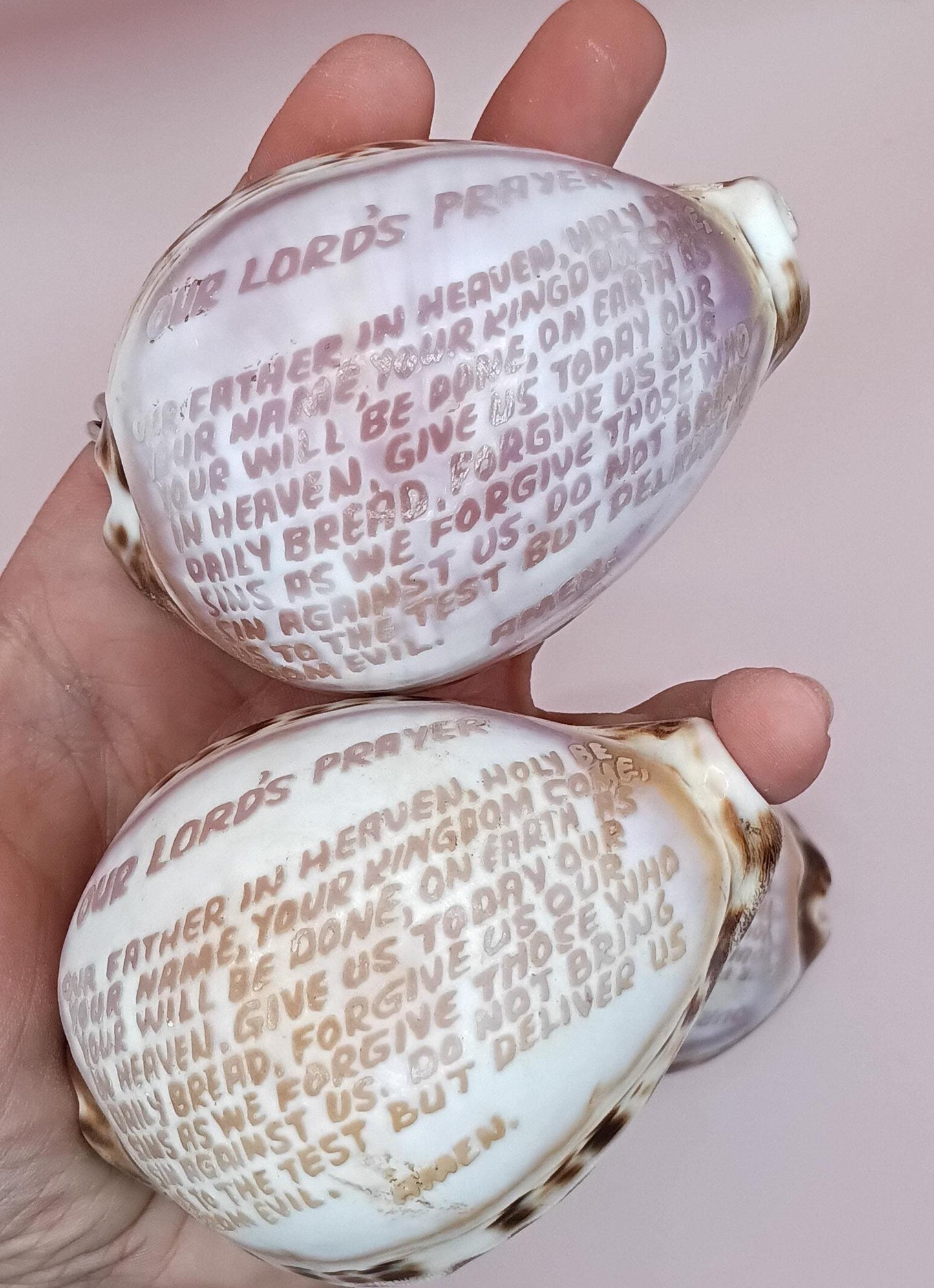 Two seashells with 'Our Lord's Prayer' inscribed on them, held in a hand against a light pink background.