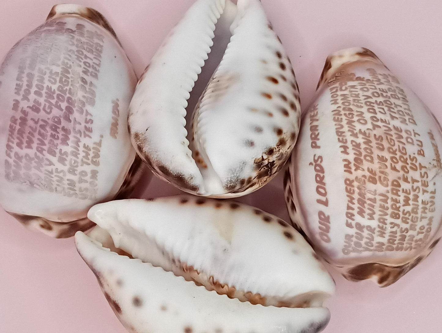Group of engraved Lord’s Prayer cowrie shells