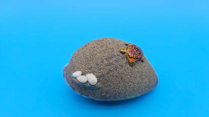 Painted cowrie shell magnet with sea turtle and coral on blue ocean background