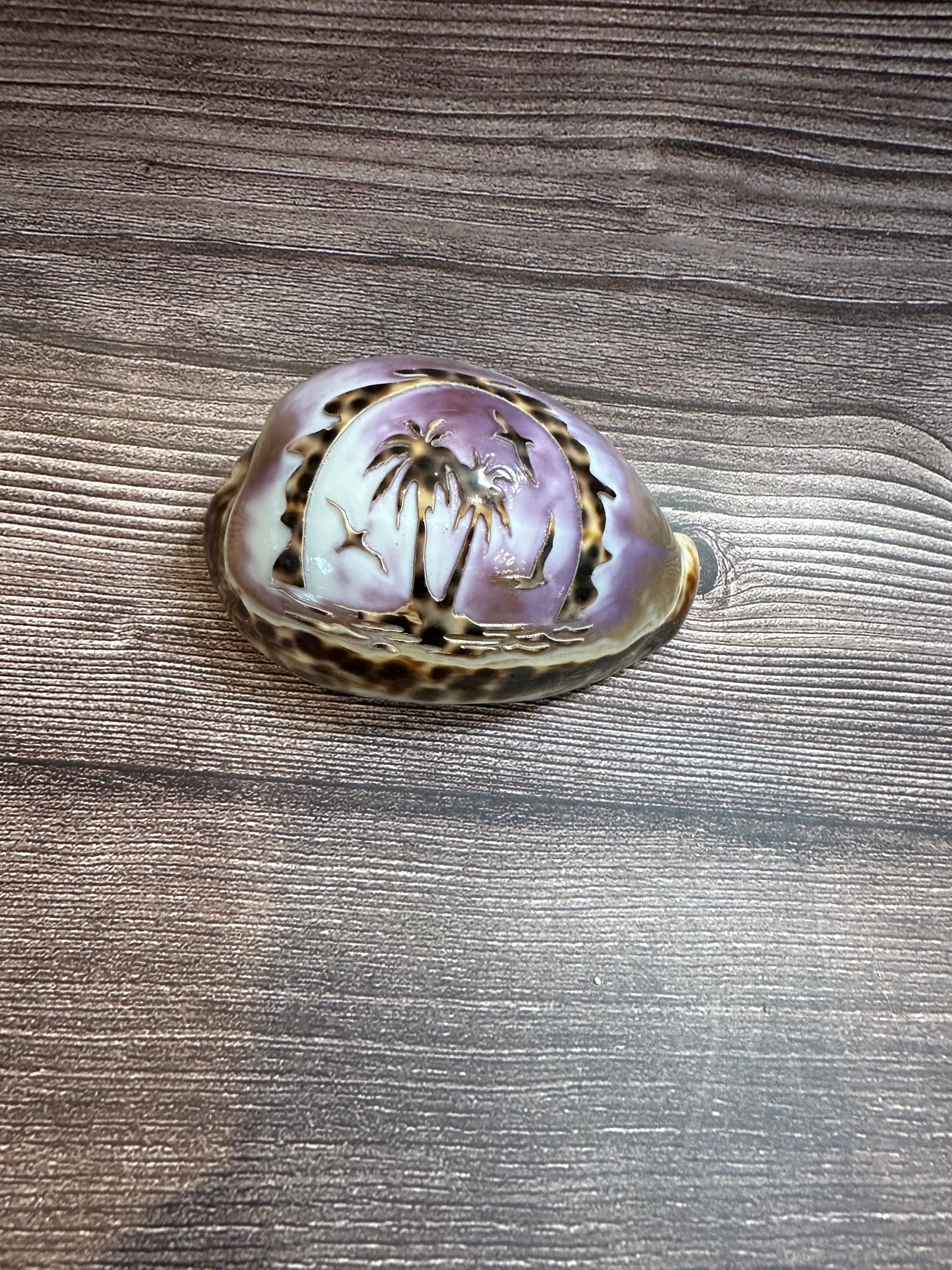 Hand-carved Cowry Shell with palm trees and seagulls.