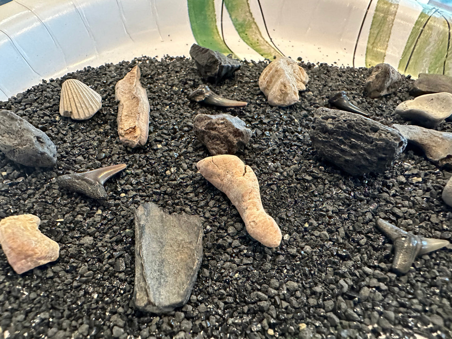 Mystery Fossil Dig Bottle