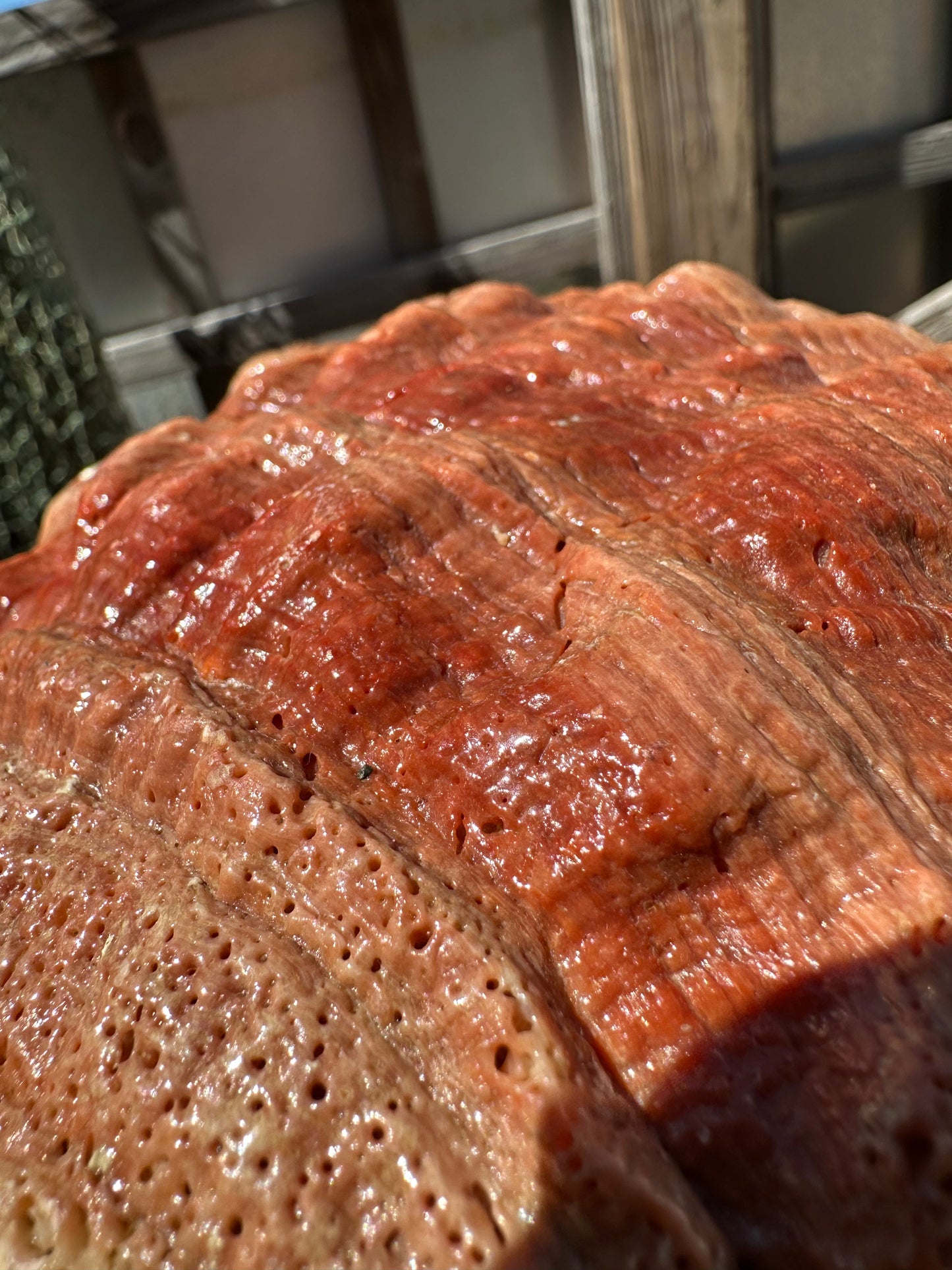 Sealed Red Abalone Shell – Haliotis rufescens, 8.25"