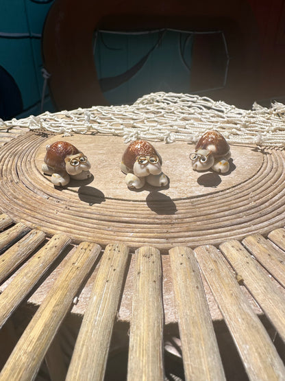 Sea Turtle Seashell Critters