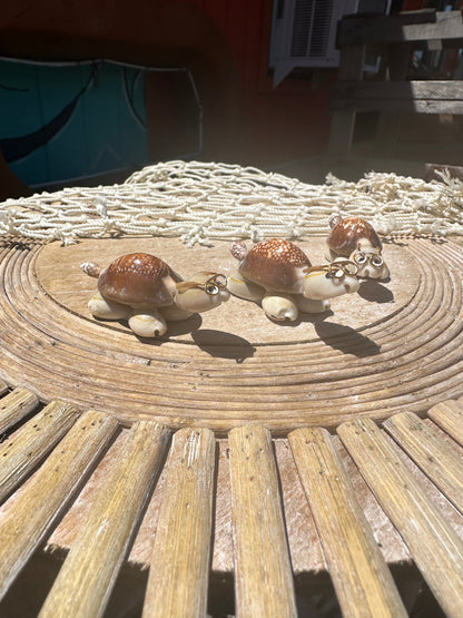 Sea Turtle Seashell Critters