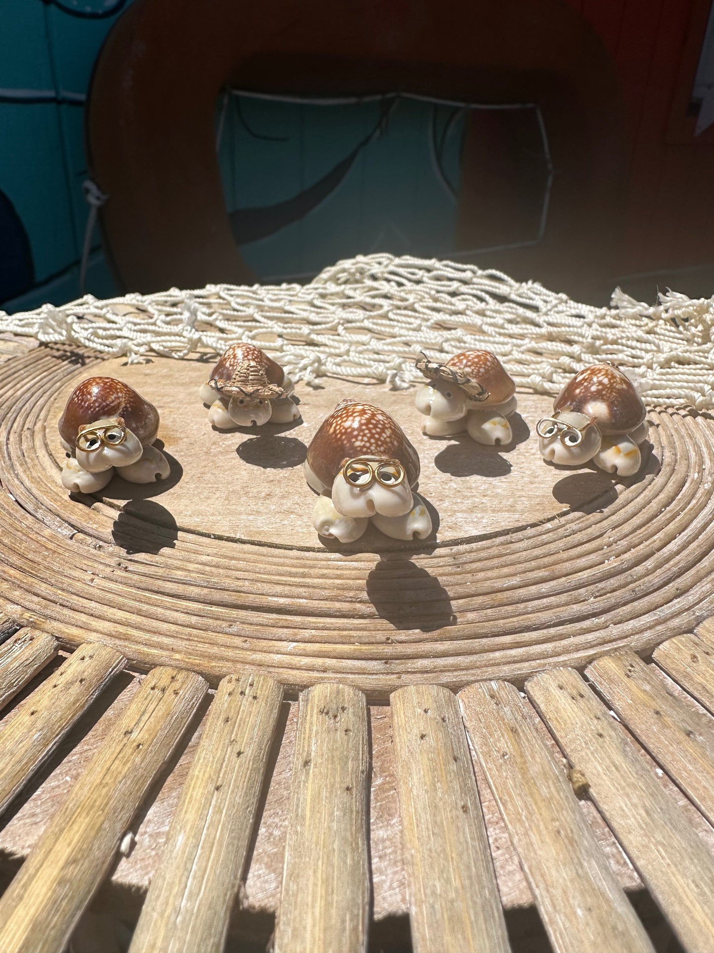 Sea Turtle Seashell Critters