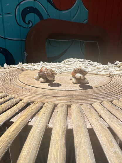 Sea Turtle Seashell Critters