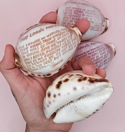 Lord’s Prayer cowrie shell in hand, side view