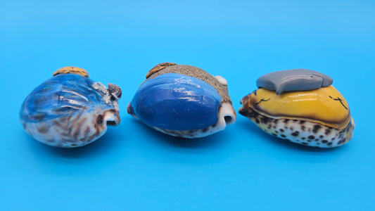 Painted cowrie shell magnet with sea turtle and coral on blue ocean background