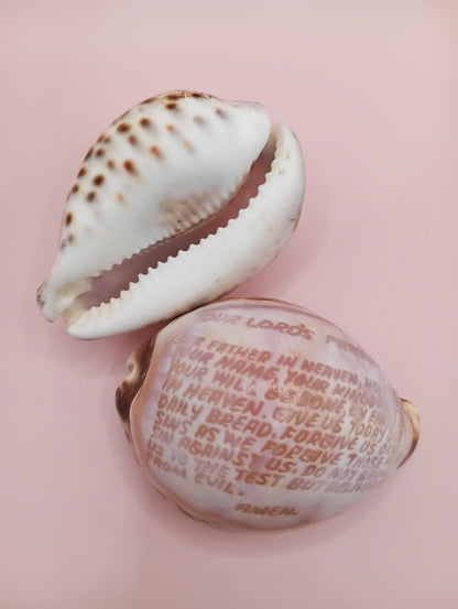 Pair of carved Lord’s Prayer cowrie shells side by side