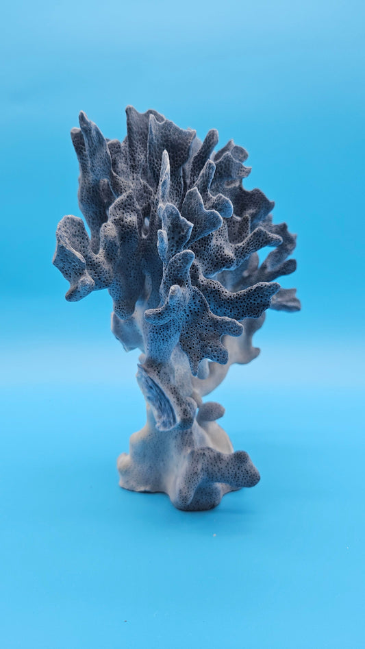 Natural indigo Blue Ridge Coral marine decor piece