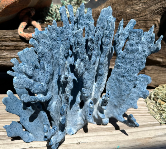 Vintage Blue Ridge Coral exact piece 10x9x7" - natural coastal decor