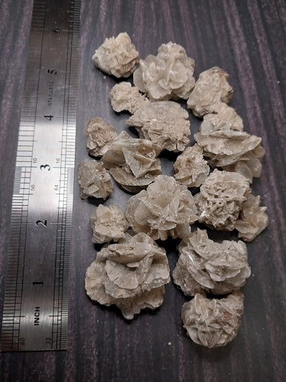 Elephant Ear Crystalized Selenite Mineral - Loving Coastal Living