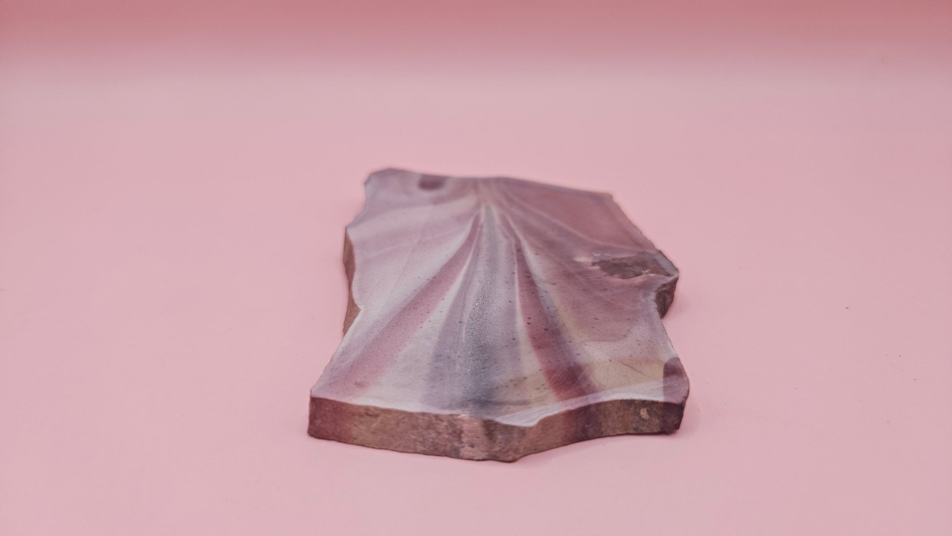 Fanburst-pattern rhyolite slab with radiating mauve and cream bands, 73 grams and 3.8x2.3 inches, cut and smoothed for display or lapidary work.