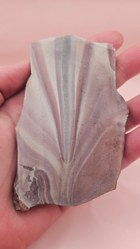 Fanburst-pattern rhyolite slab with radiating mauve and cream bands, 73 grams and 3.8x2.3 inches, cut and smoothed for display or lapidary work.