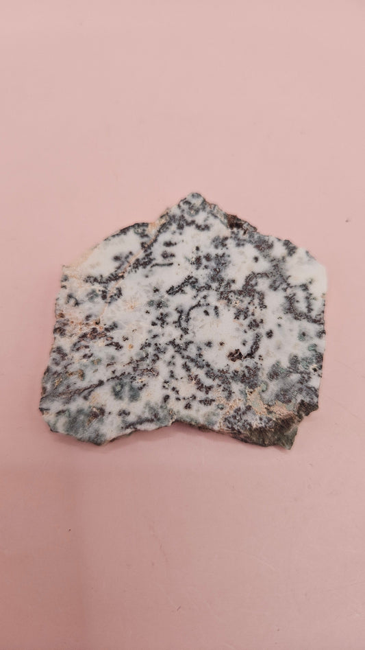 Tree Agate slab with mossy dendritic inclusions on a white base, 20 grams, shown on a pink background.