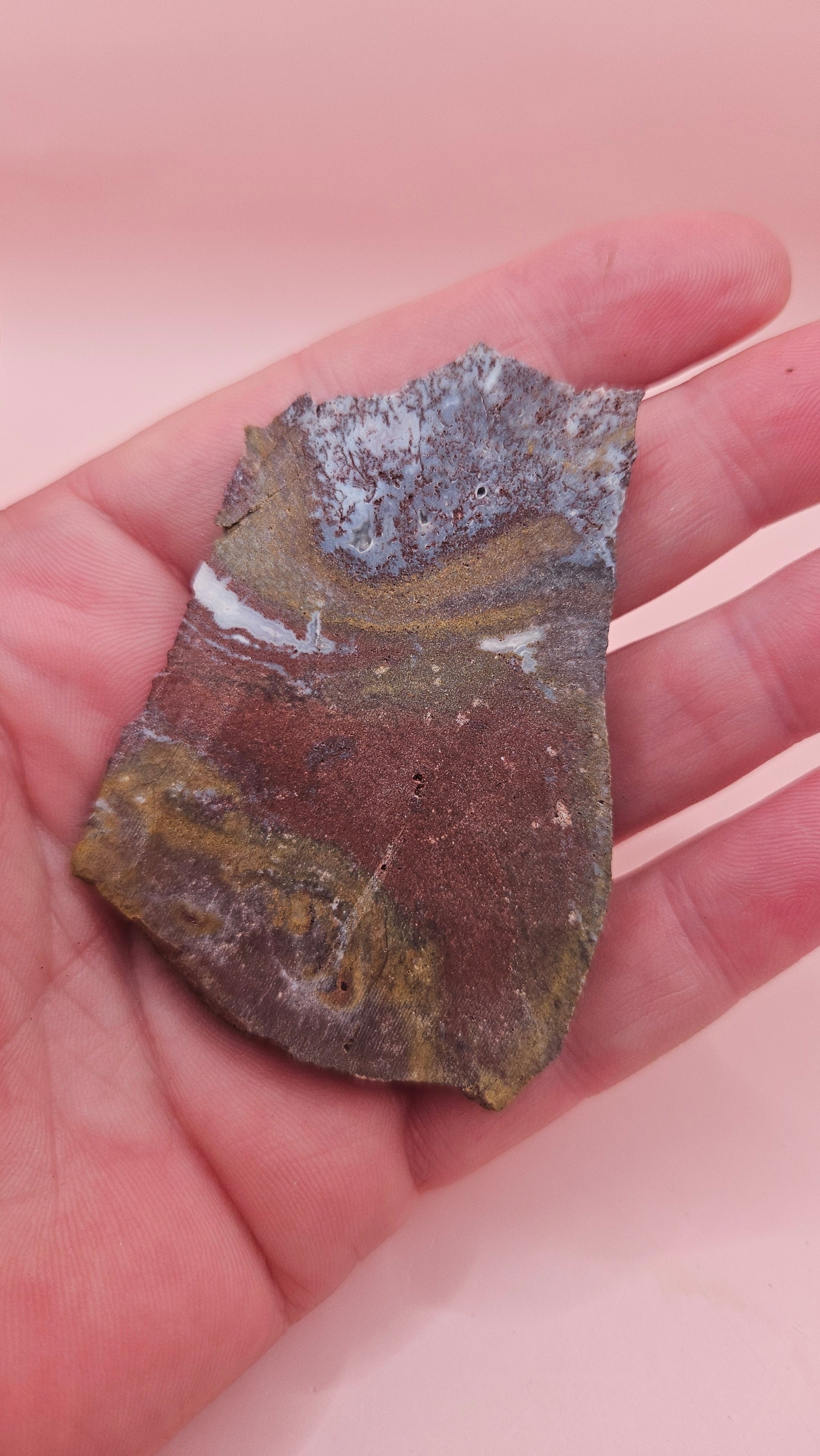 32 gram Hatch NM rhyolite slab with deep red, golden yellow, and gray flow banding – polished volcanic stone for display or lapidary use