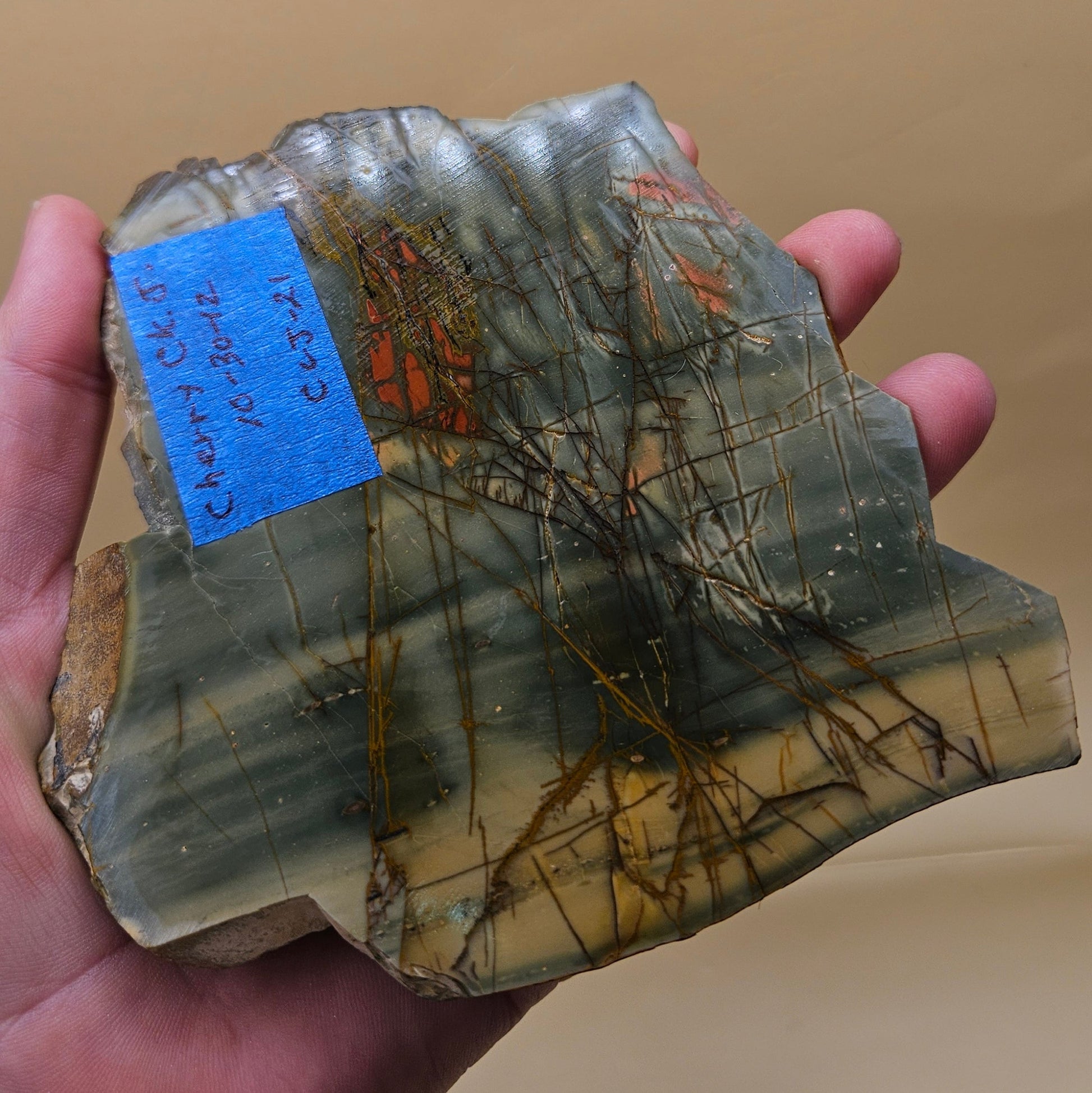 Cherry Creek Jasper slab, polished, showing soft green, beige, and pink tones with natural veining, 180 grams.