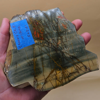 Cherry Creek Jasper slab, polished, showing soft green, beige, and pink tones with natural veining, 180 grams.