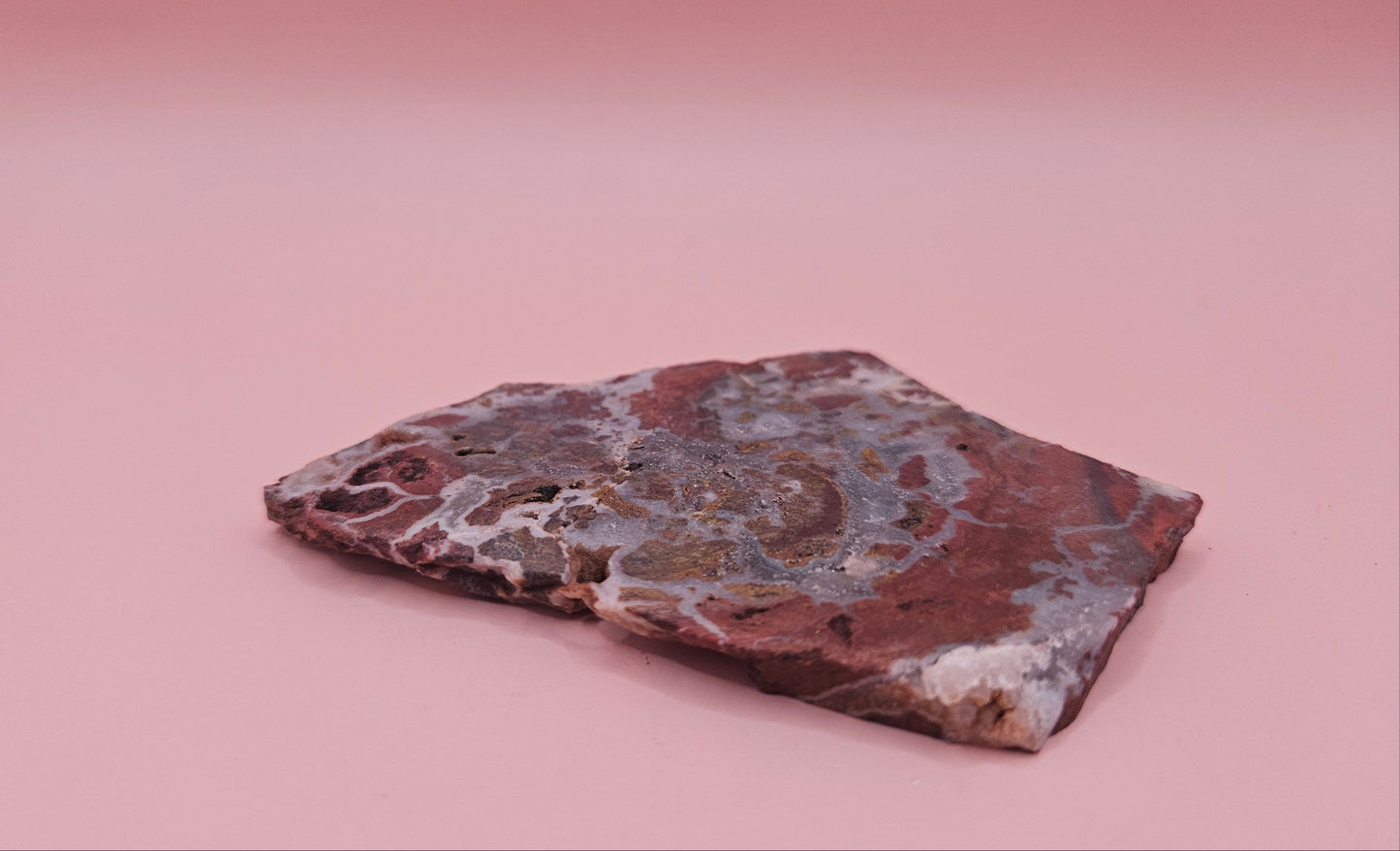 49g Hatch New Mexico rhyolite slab with bold red, tan, and gray brecciated orbicular patterns – ideal for display, lapidary, or crystal collection