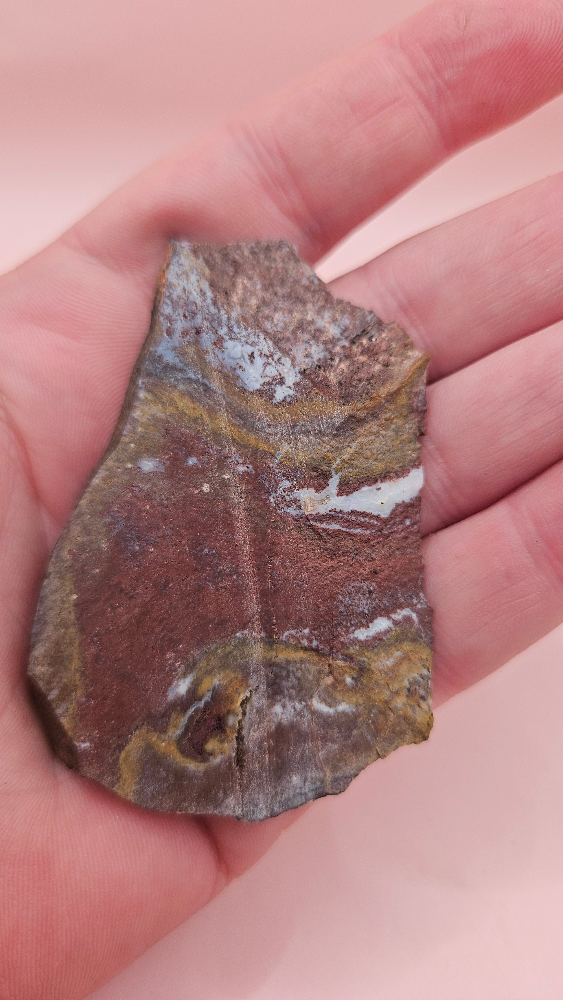 32 gram Hatch NM rhyolite slab with deep red, golden yellow, and gray flow banding – polished volcanic stone for display or lapidary use
