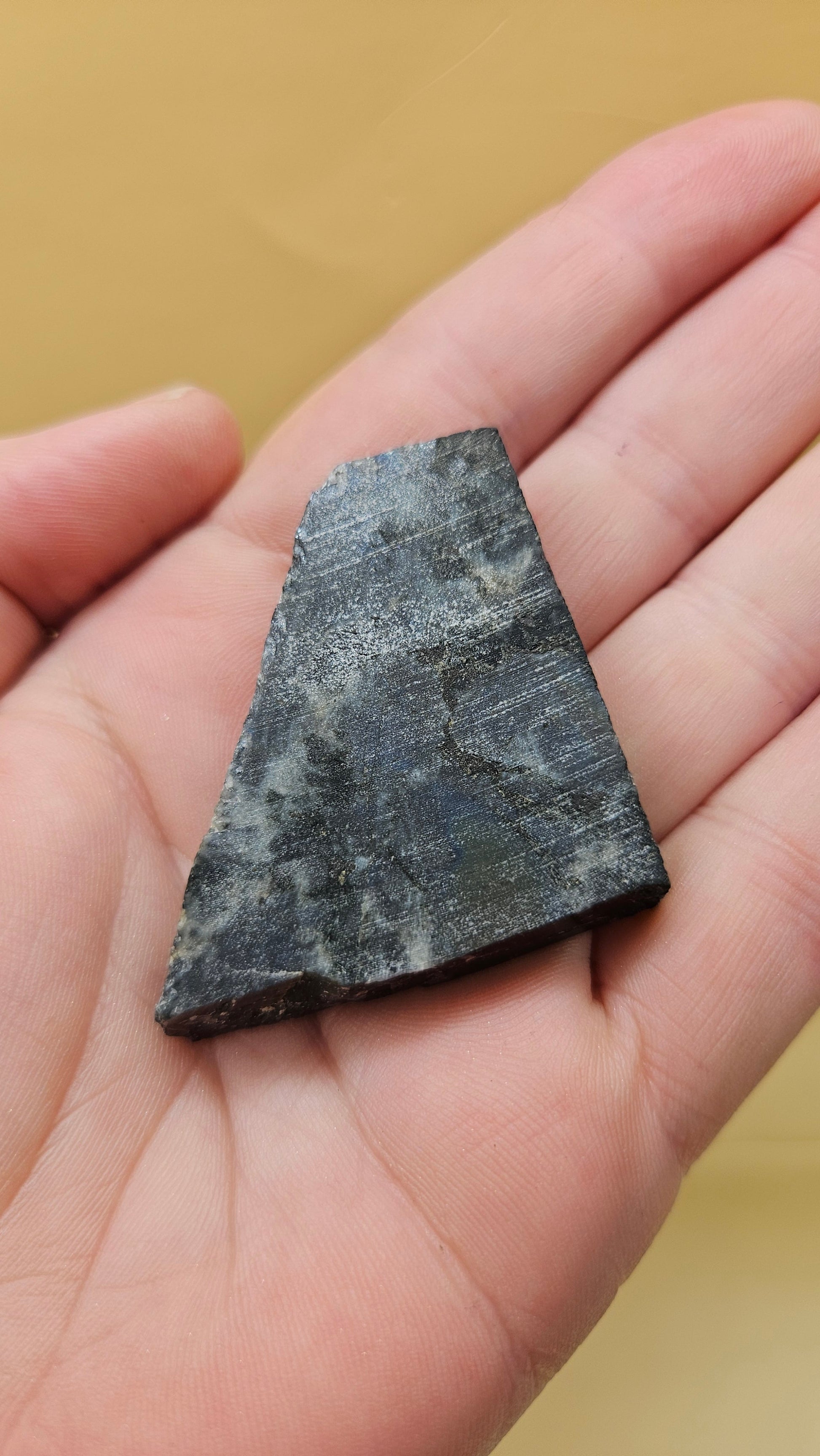 28g polished Spectrolite slab from Finland shown in hand with dark gray base and flashes of blue-green light.
