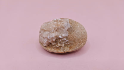  Fossilized Cretaceous clam with quartz crystals in natural brown stone on pink background