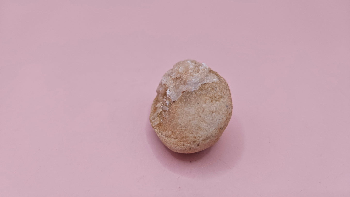  Fossilized Cretaceous clam with quartz crystals in natural brown stone on pink background