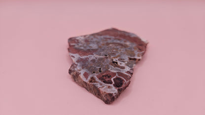 49g Hatch New Mexico rhyolite slab with bold red, tan, and gray brecciated orbicular patterns – ideal for display, lapidary, or crystal collection