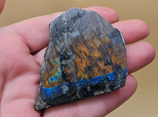 Red Spectrolite slab from Finland  showing red and blue flash over dark feldspar base, 36 grams.