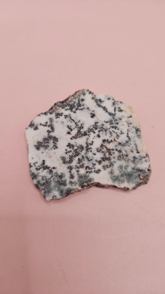 Tree Agate slab with mossy dendritic inclusions on a white base, 20 grams, shown on a pink background.