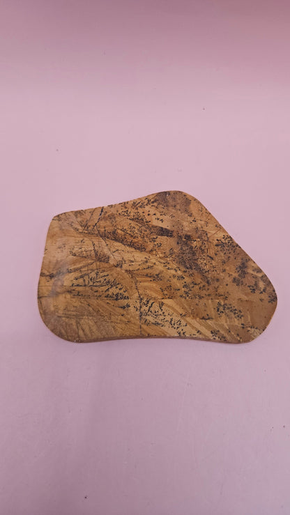 Polished Yellow Feather Jasper slab with black dendritic inclusions on a golden yellow base, 50 grams.