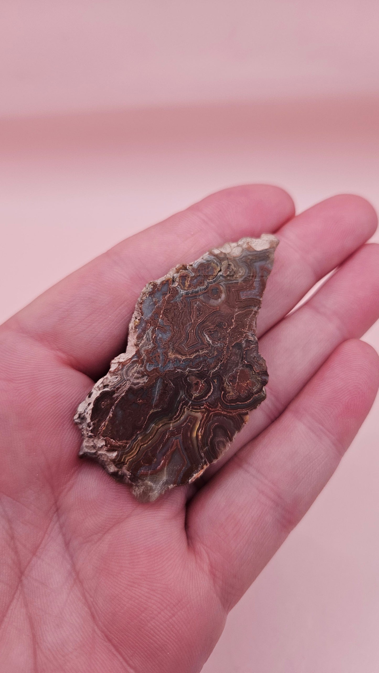 Polished Crazy Lace Agate slab featuring vivid red, gray, tan, and cream swirls with bold banded patterns, 21 grams from Mexico.