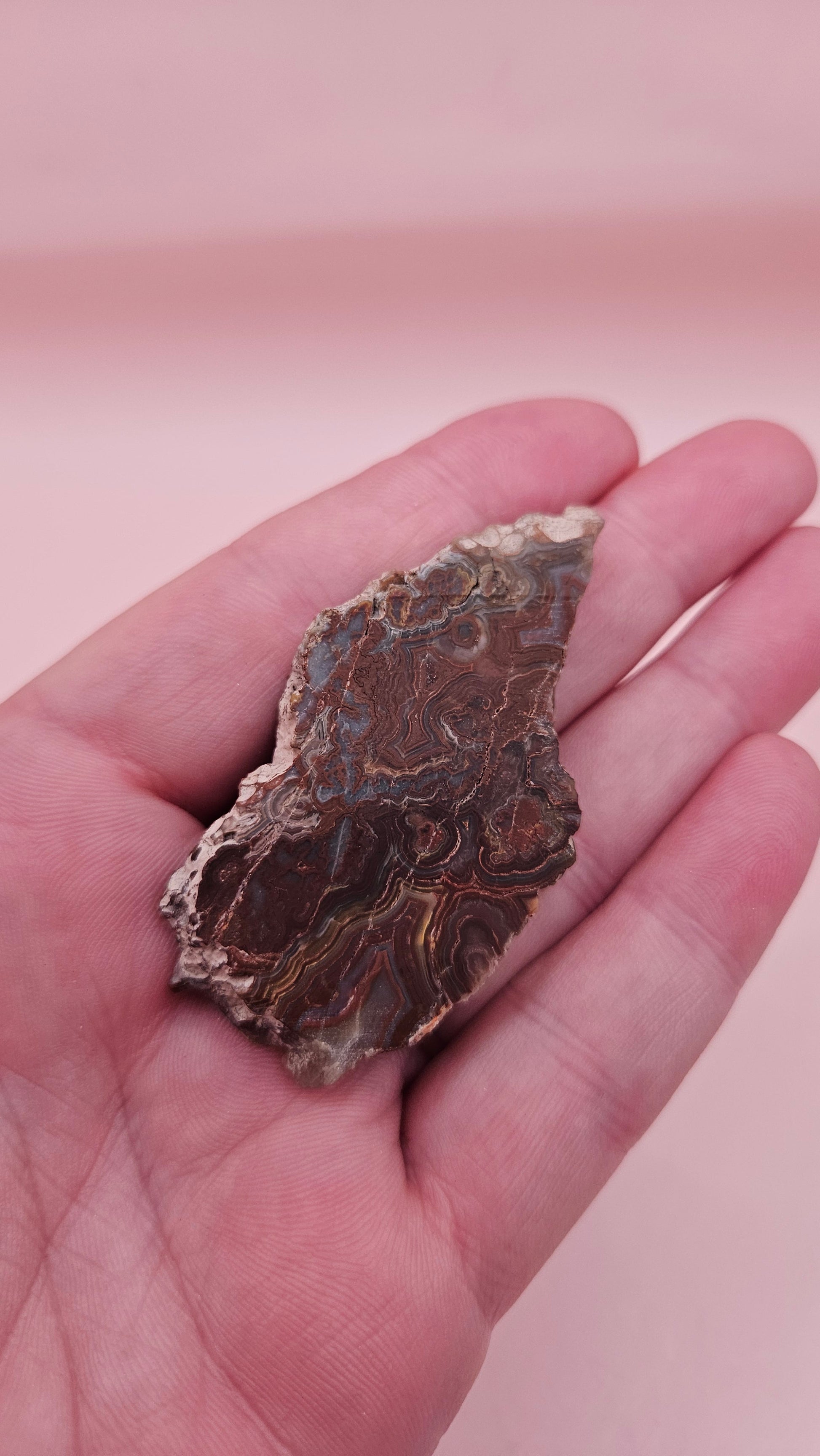 Polished Crazy Lace Agate slab featuring vivid red, gray, tan, and cream swirls with bold banded patterns, 21 grams from Mexico.