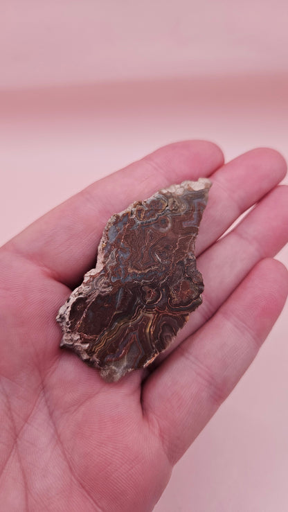Polished Crazy Lace Agate slab featuring vivid red, gray, tan, and cream swirls with bold banded patterns, 21 grams from Mexico.