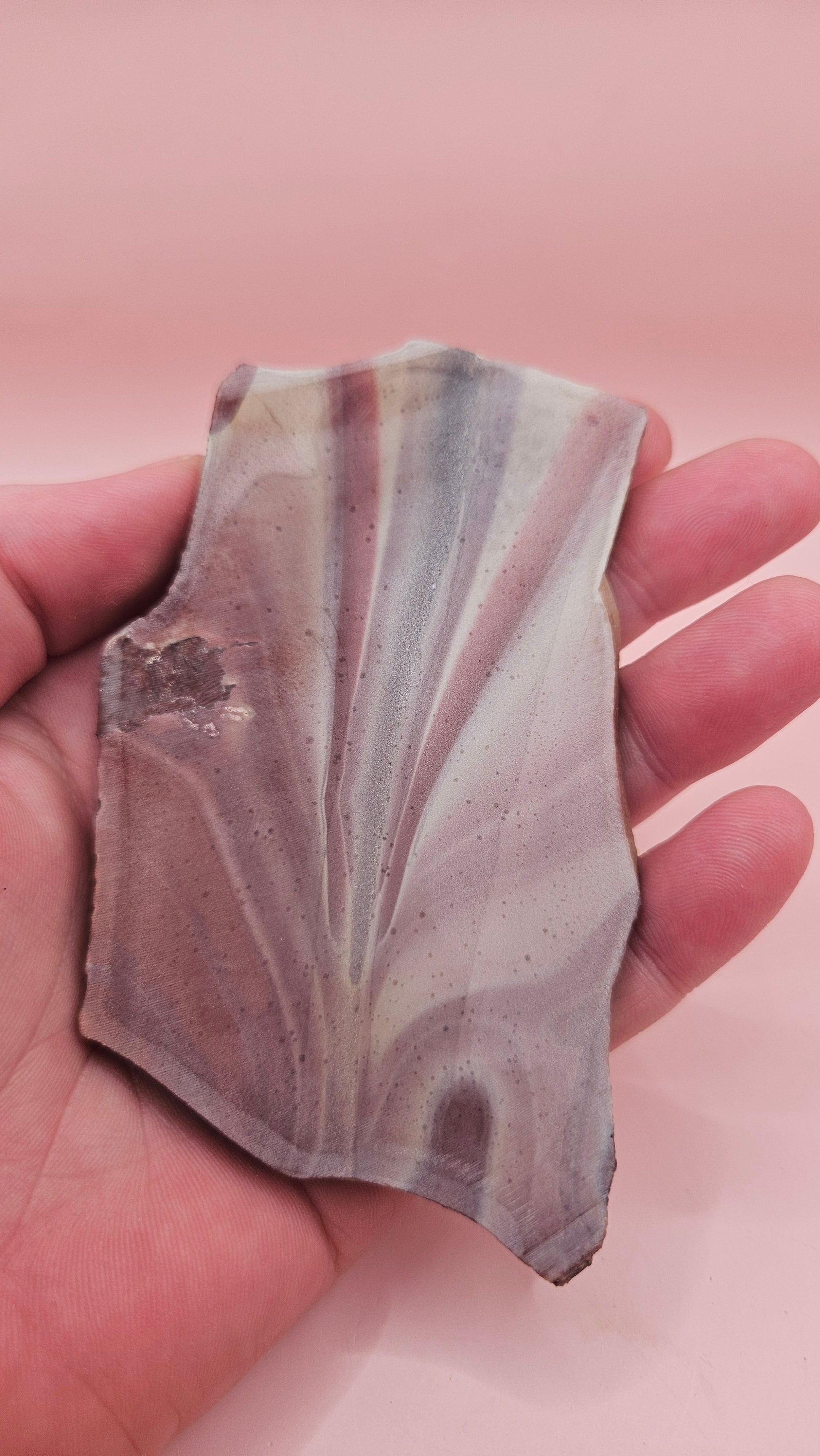 Fanburst-pattern rhyolite slab with radiating mauve and cream bands, 73 grams and 3.8x2.3 inches, cut and smoothed for display or lapidary work.
