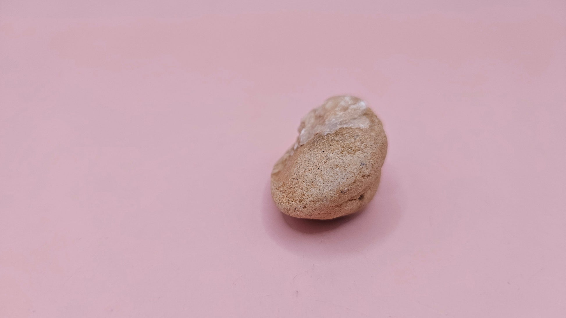  Fossilized Cretaceous clam with quartz crystals in natural brown stone on pink background