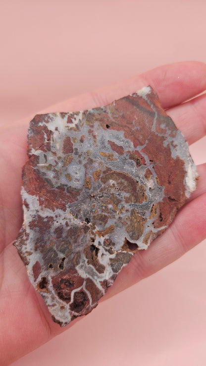 49g Hatch New Mexico rhyolite slab with bold red, tan, and gray brecciated orbicular patterns – ideal for display, lapidary, or crystal collection