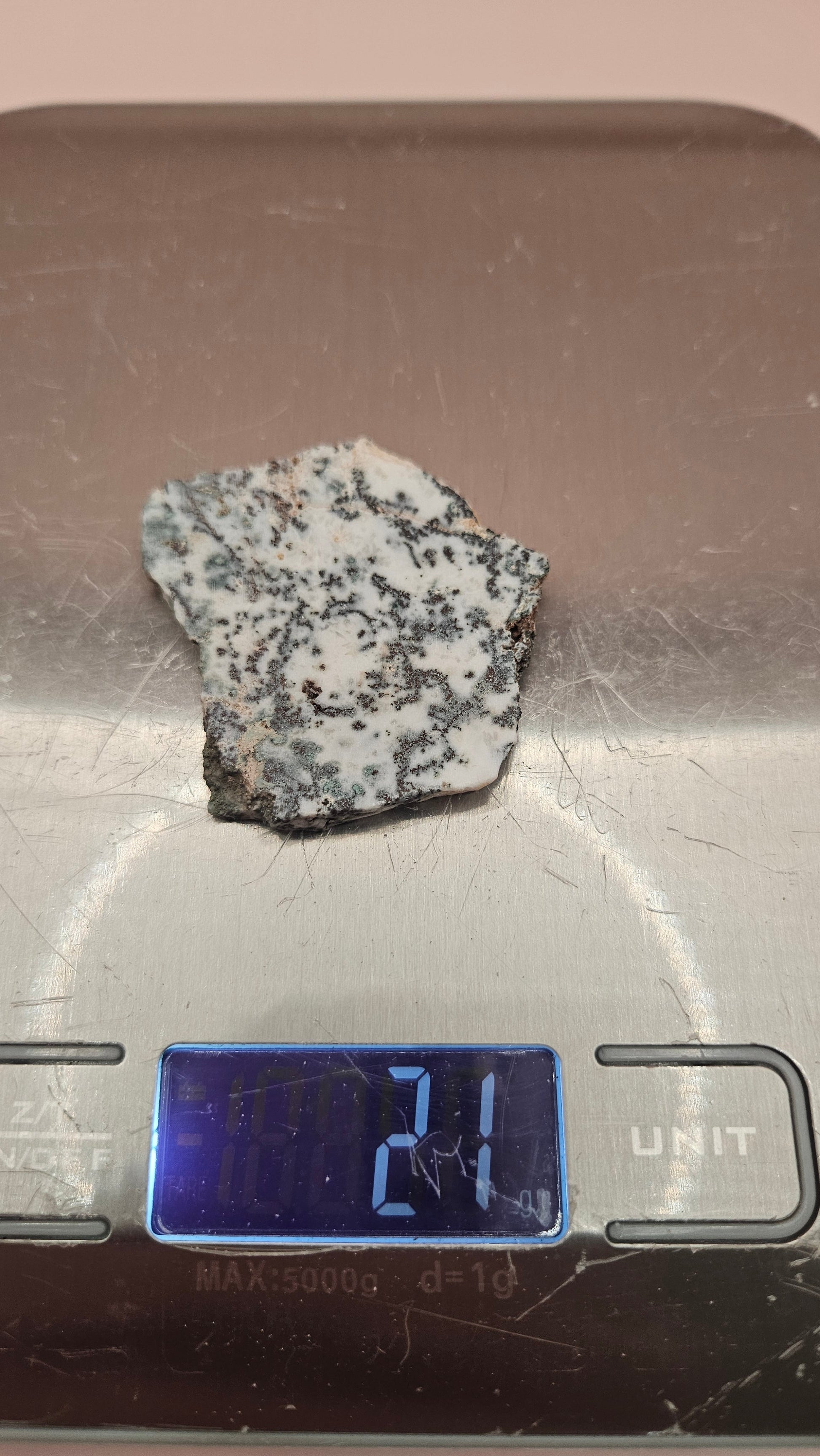 Tree Agate slab with mossy dendritic inclusions on a white base, 20 grams, shown on a pink background.