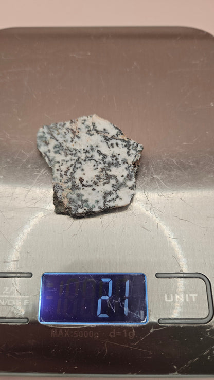 Tree Agate slab with mossy dendritic inclusions on a white base, 20 grams, shown on a pink background.