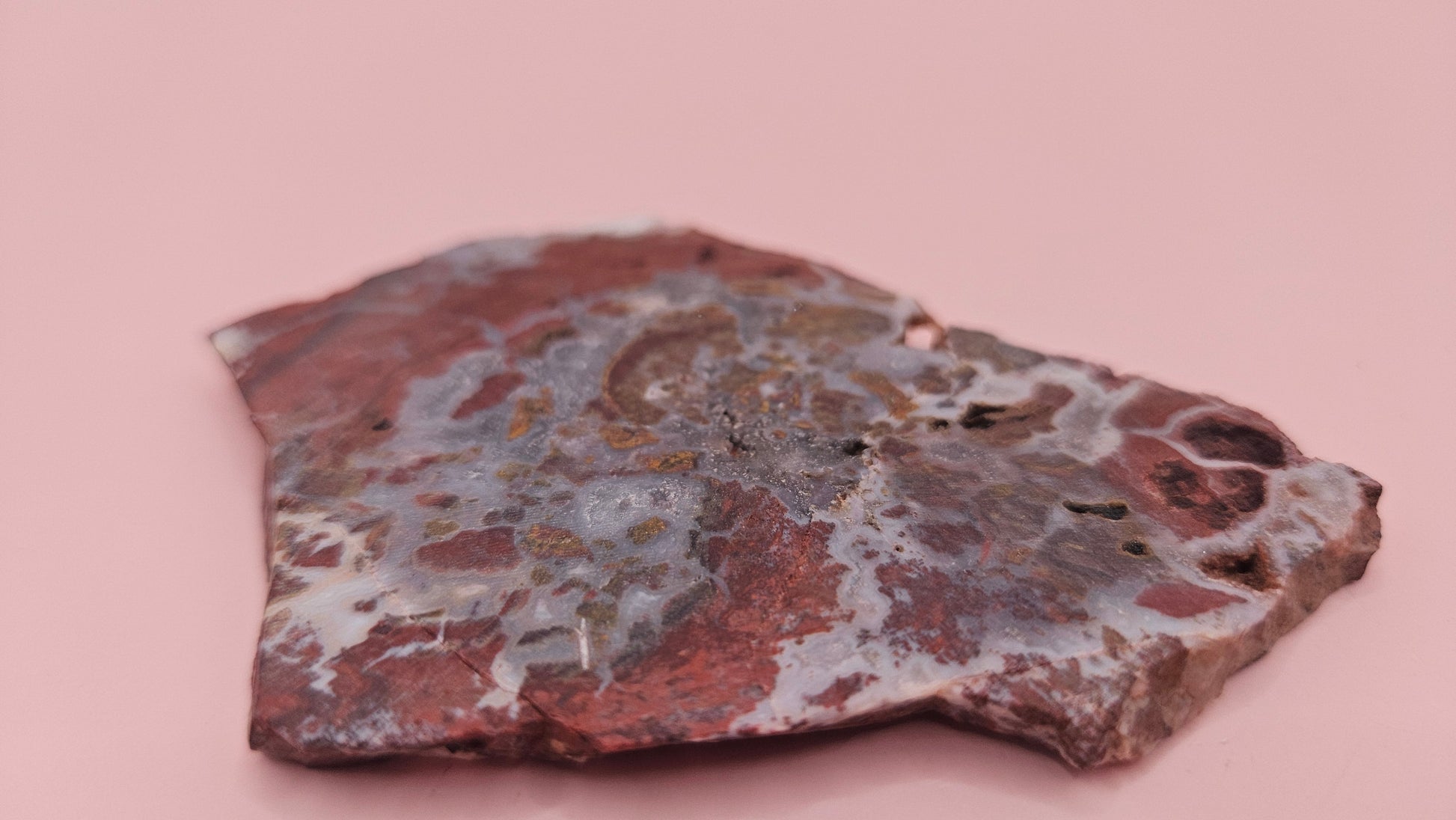 49g Hatch New Mexico rhyolite slab with bold red, tan, and gray brecciated orbicular patterns – ideal for display, lapidary, or crystal collection