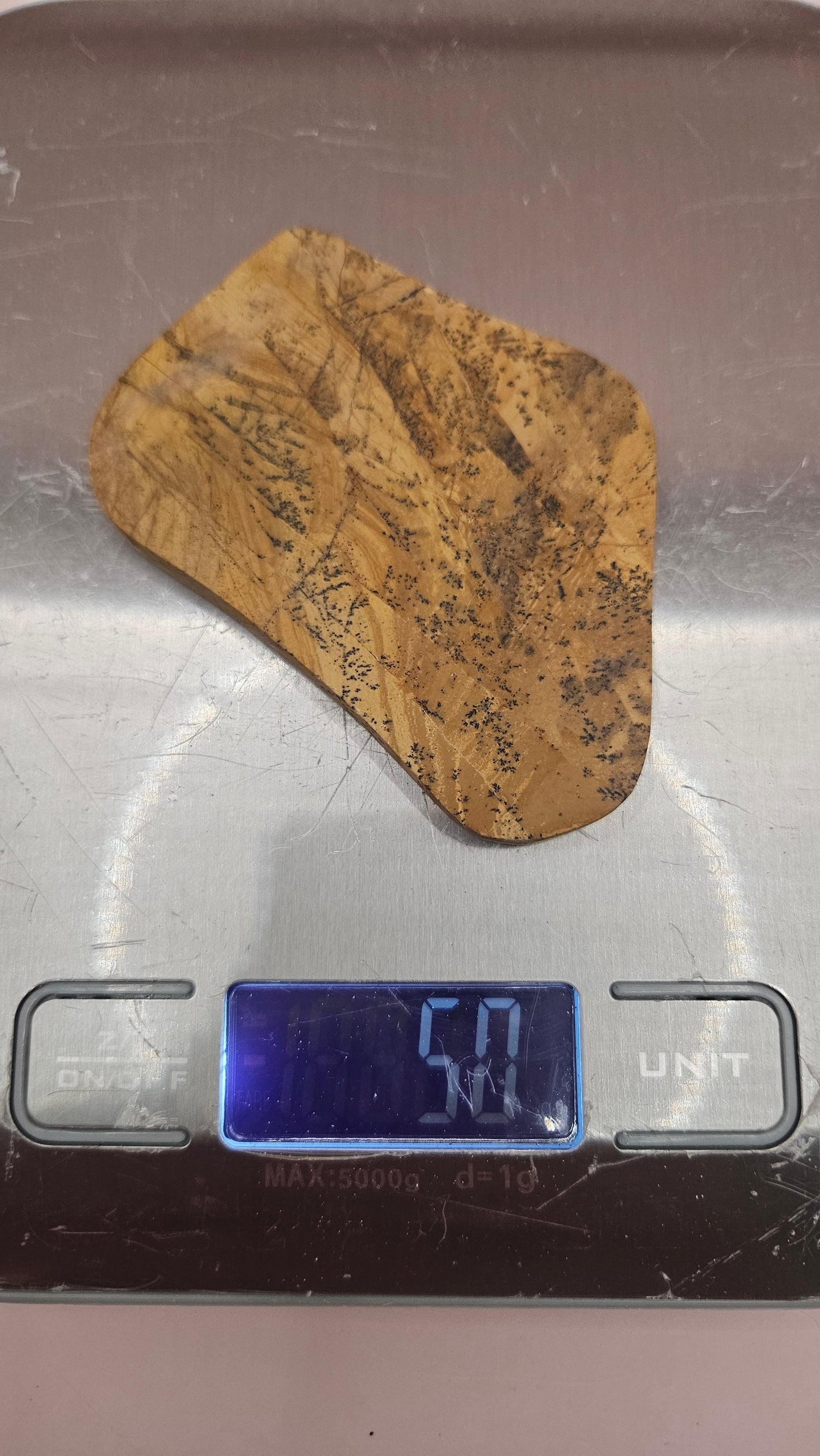 Polished Yellow Feather Jasper slab with black dendritic inclusions on a golden yellow base, 50 grams.