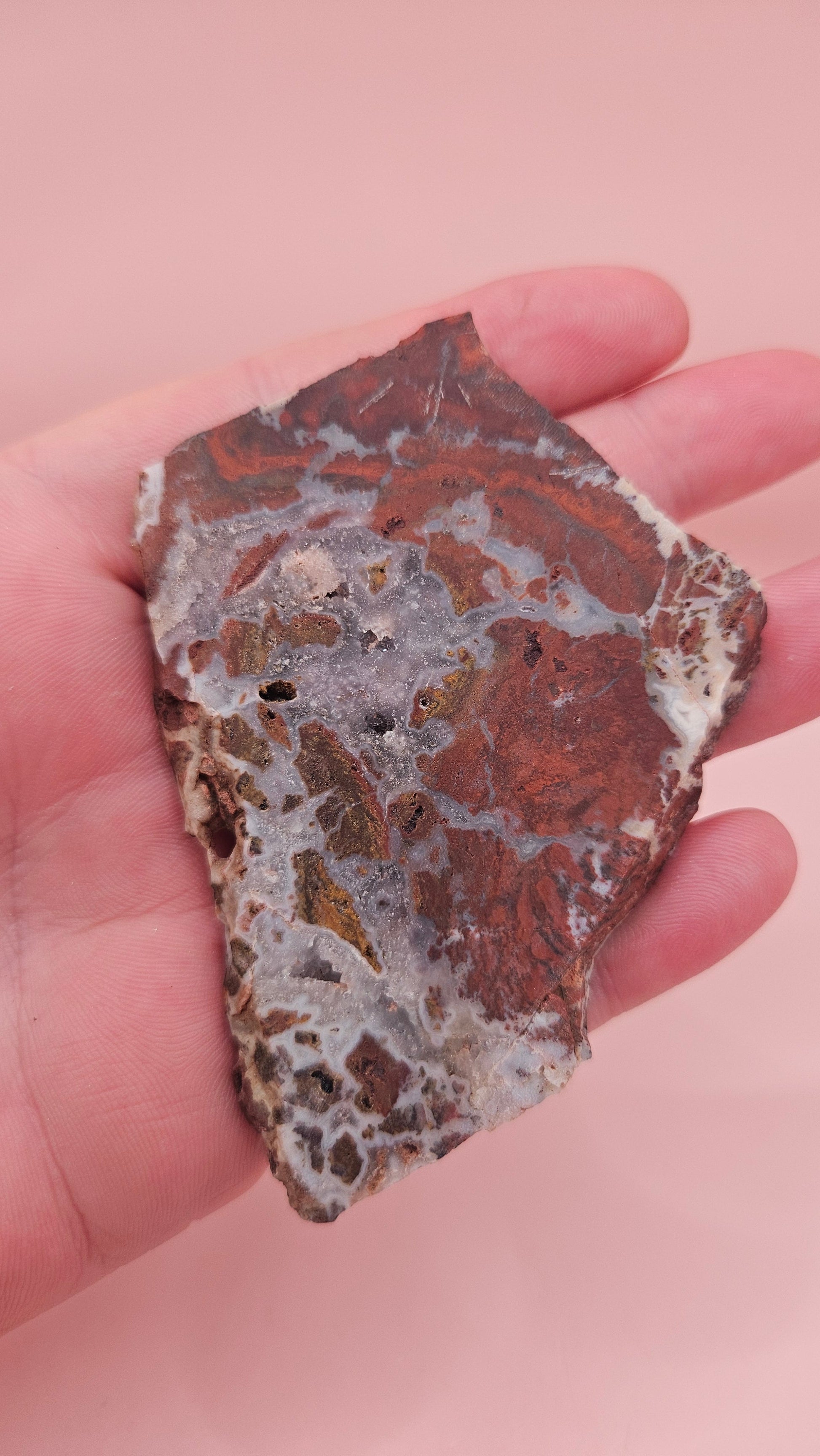 49g Hatch New Mexico rhyolite slab with bold red, tan, and gray brecciated orbicular patterns – ideal for display, lapidary, or crystal collection
