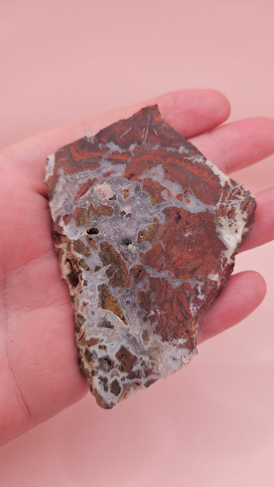 49g Hatch New Mexico rhyolite slab with bold red, tan, and gray brecciated orbicular patterns – ideal for display, lapidary, or crystal collection